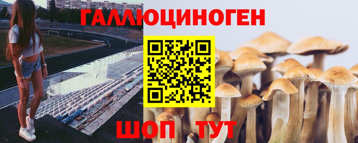 Кашира  Галлюциногенные грибы Cubensis  Галлюциногенные грибы прущие грибы  Вход с VPN 